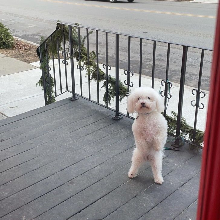 49458f550abd3f568a88ef2f50 49458f550abd3f568a88ef2f50