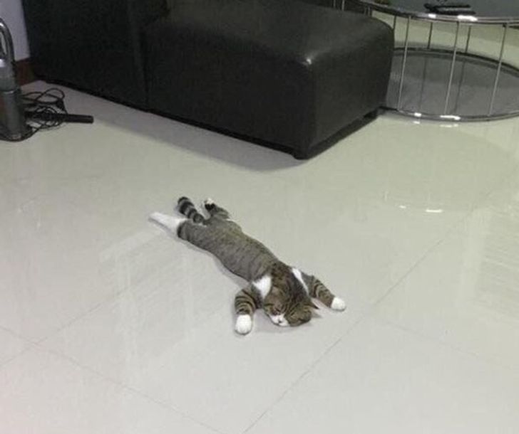 4945e950ccb56998430fdd1dad