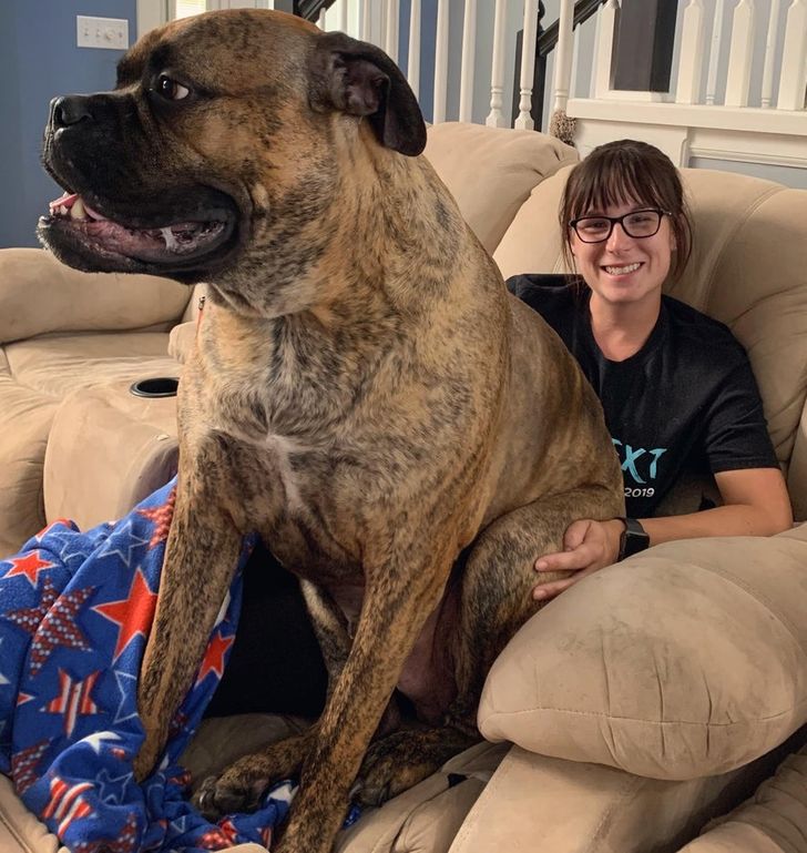 4950305e4d938de08b665f1d69