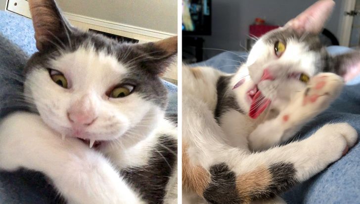 49600d54c49628689eb469cff0