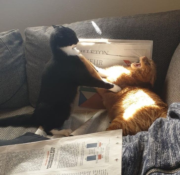 496216567a92f387d490661fab