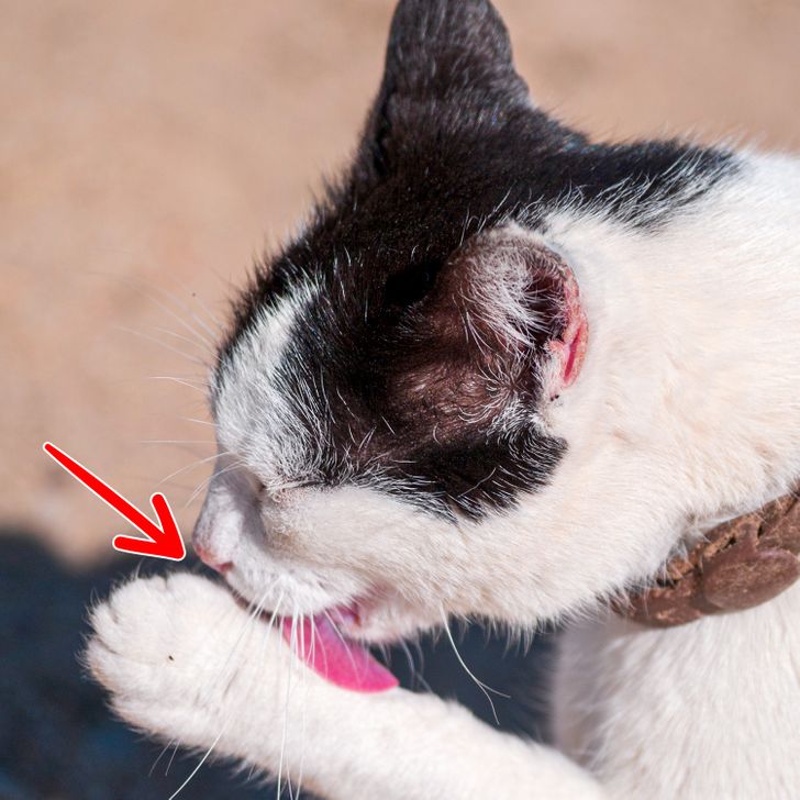 4967315b1f905a7d984ccedfd0