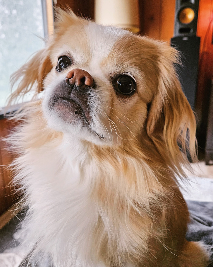 49716c51658b4e76da33f82632 49716c51658b4e76da33f82632