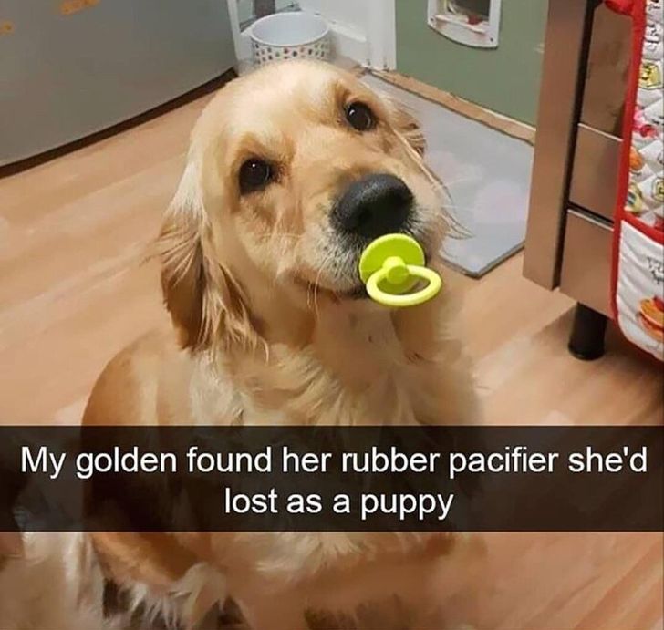 4973de50048c393ea1c32b9bce