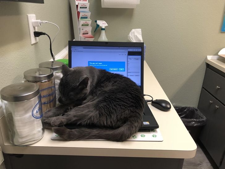 4979ed55c68bf3524e32d31008