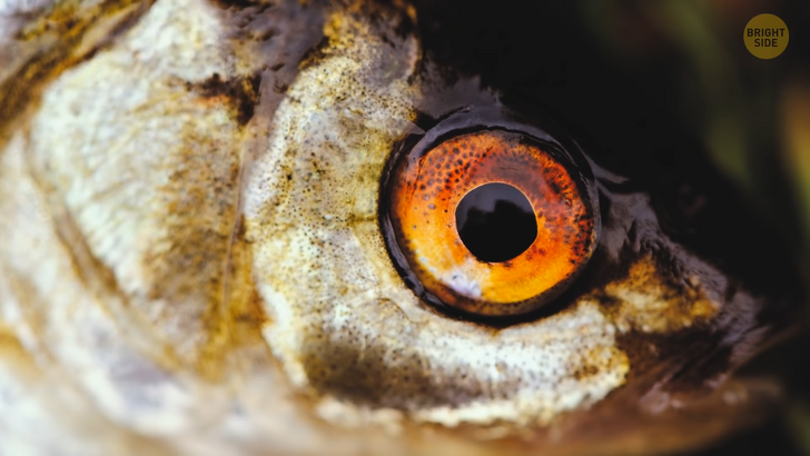 497e285011ba07c9d2d87822d1