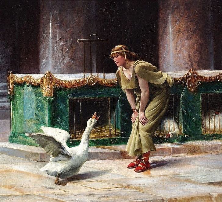 49831a5c39a2b196868a0465f7