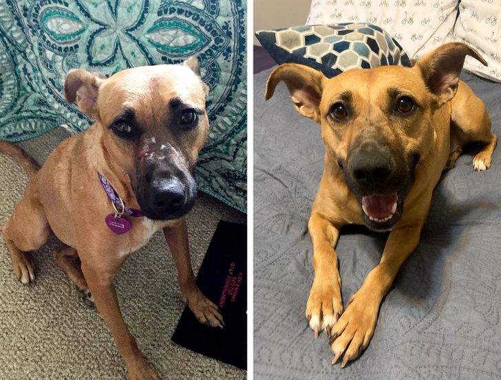 4984d951c19ca05e94398c7afc