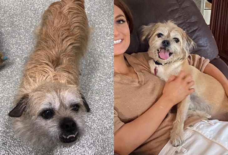 49860151c6bc28c8d47c507ec7