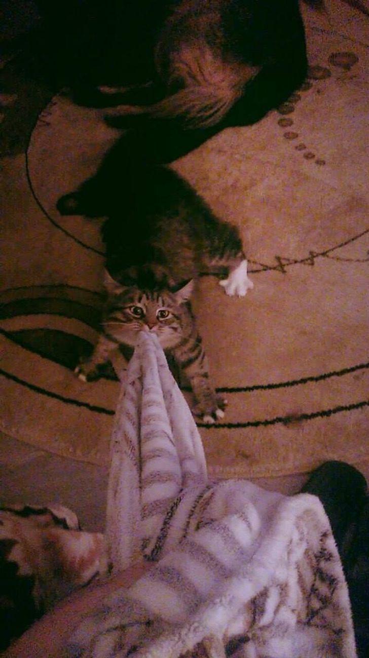 4986855353bc60c64aea38dbe6