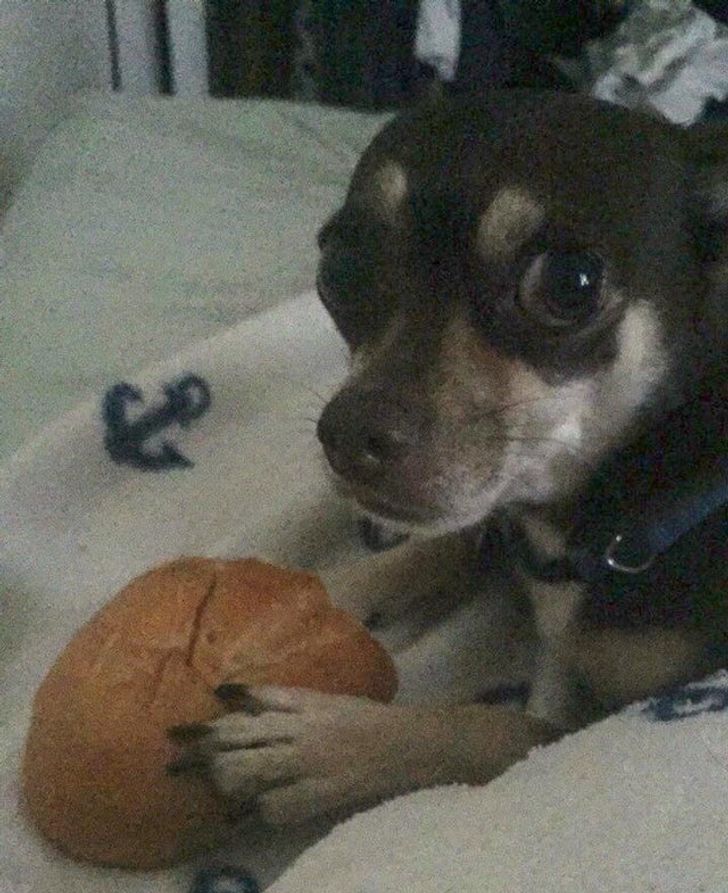 49869d50dc9de0a9e33fc6c441