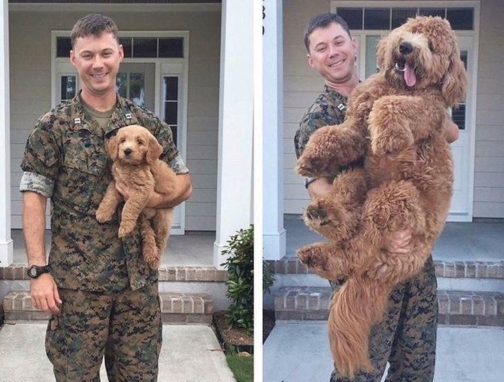 498e8c5b3b85c703b7042b21bb