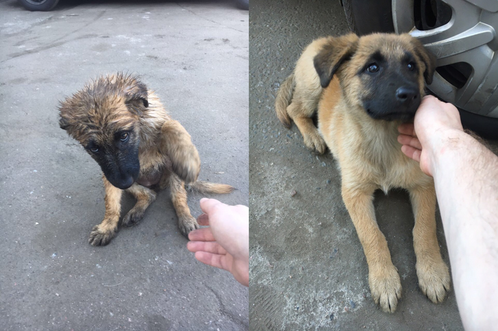 49999e5aacb0968e5394e3cdc2