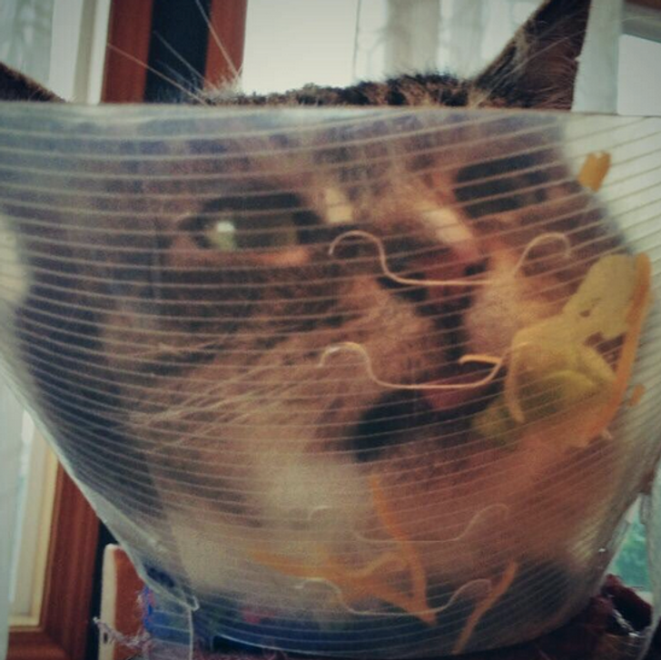 499ab2597ba25e7683b335522a