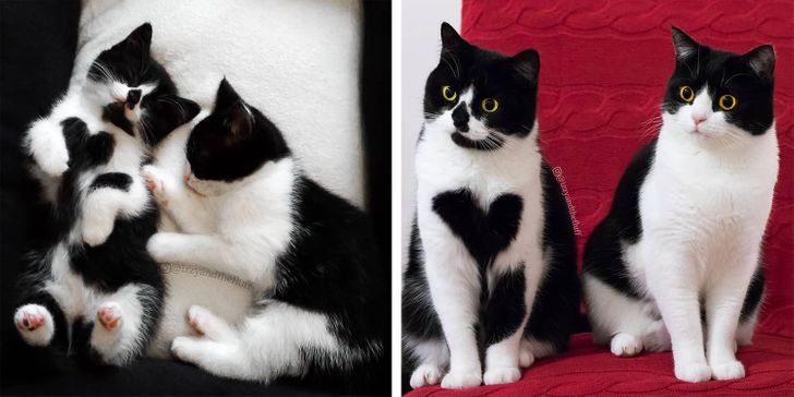 499f8d5794a38c3e4cd67b6e97