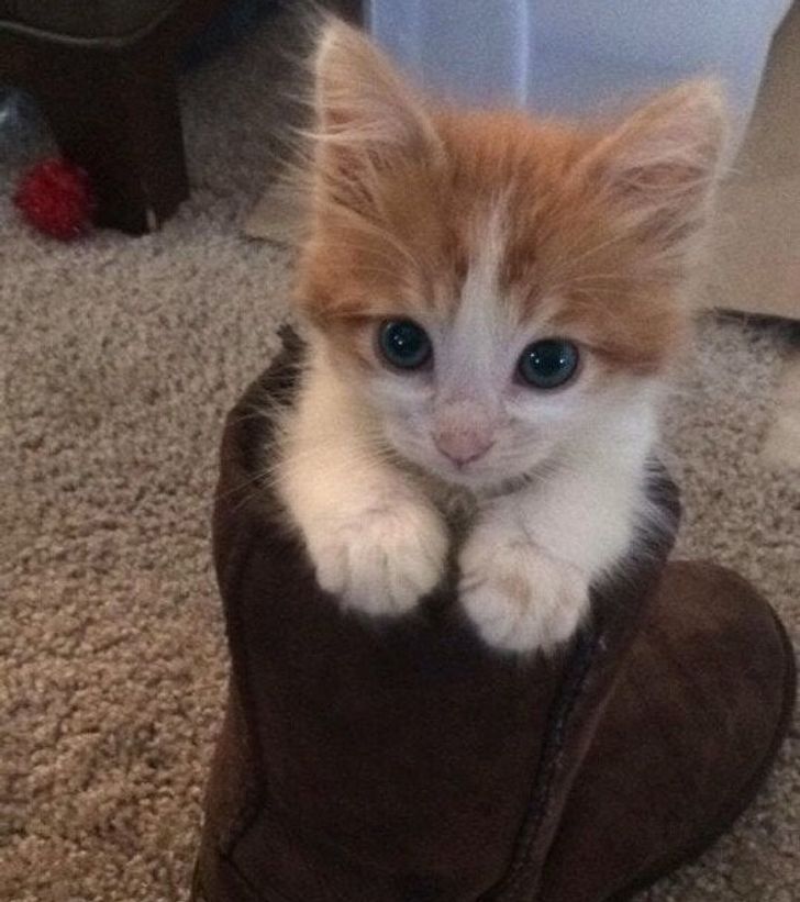 49a05550ea840d9287bc5ecf18