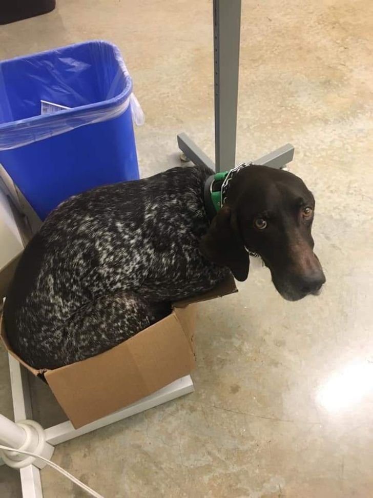 49a68f59558f273624ee1bcbd0 49a68f59558f273624ee1bcbd0