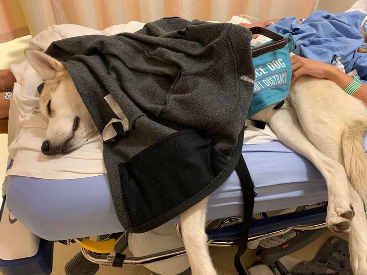 49a89e5718bdc4b736e5b04da9