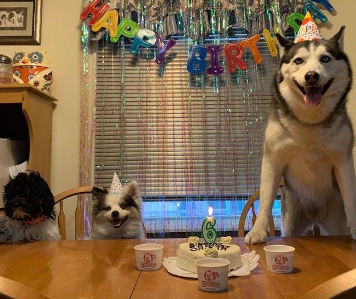 49a9e658e6a64b41b02c5588aa