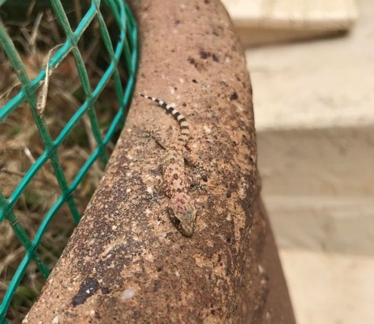 49ae665994a371bf774ccd0ab1