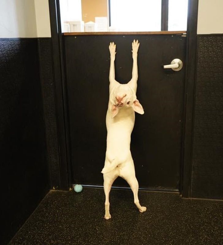 49b27e5656a21770f600d2db5d