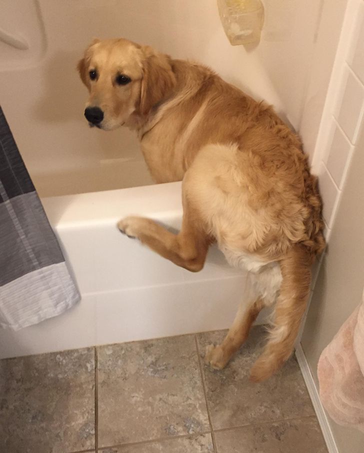 49b77550aa980ee16433791d0d