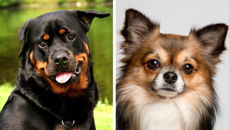 49b9a7507fa1e9225831140444