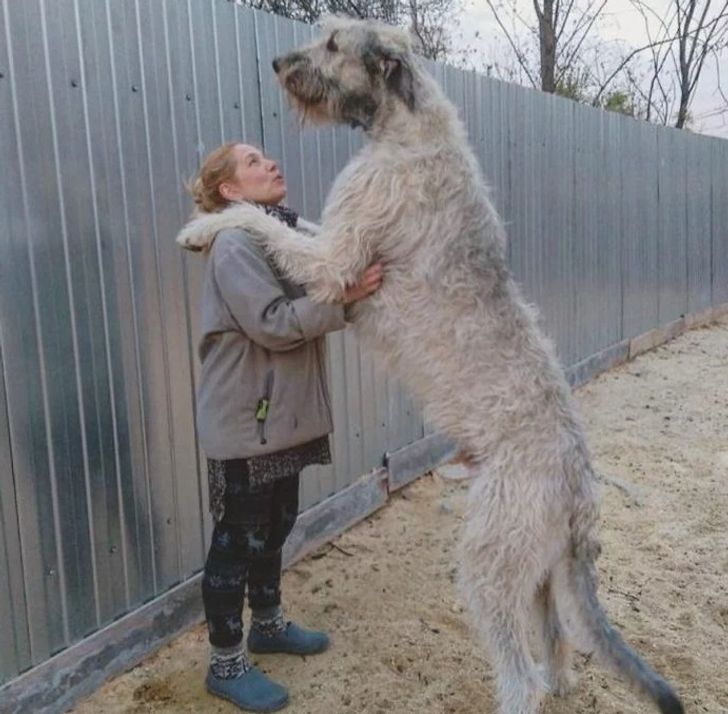 49c02555d7a37a420b2132ce06