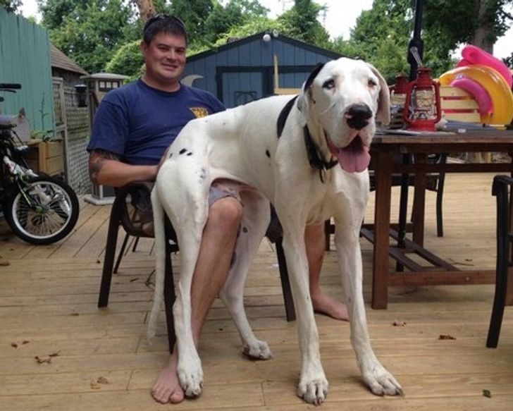 49c54c5e6da8adedd60a17446a