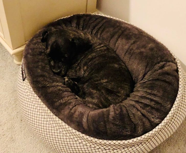 49c66e58b5be2fd8b917c2a51e