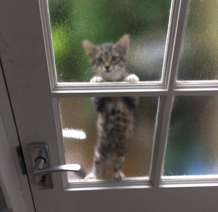 49c7ab5afdb2fc9d2cb049294d