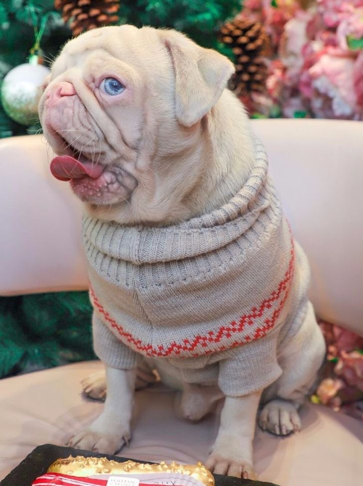 49cecc50558a70e3bb8bb167ce