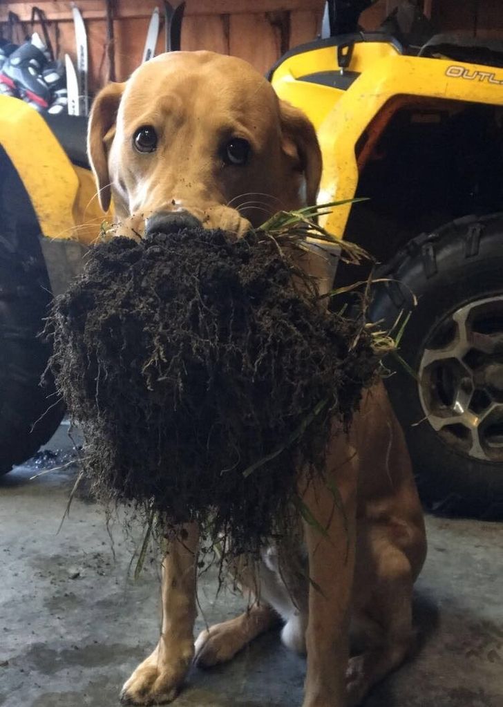 49f7ae500c8d7cbbda6883022d