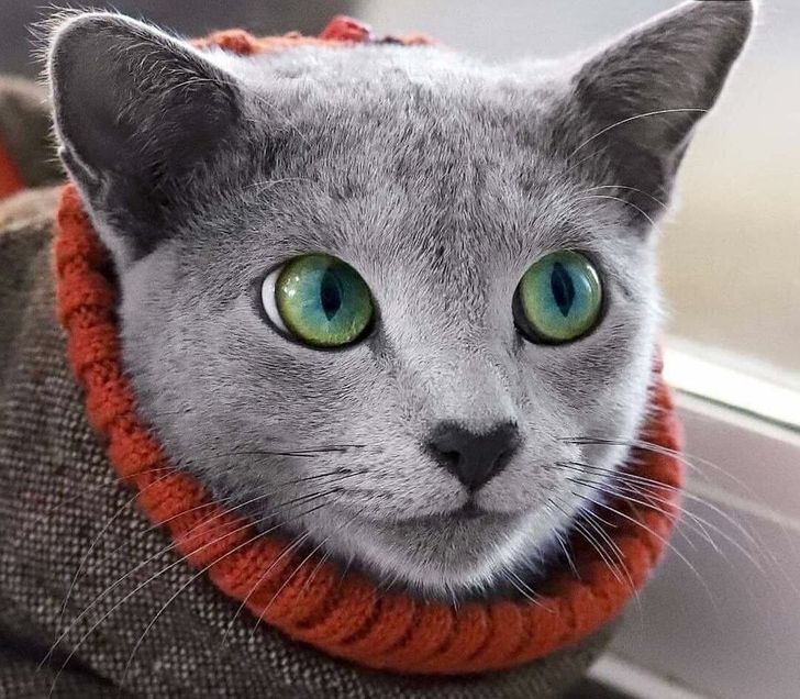 4a09635cf1859f3956858e1413