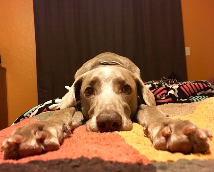 4a0c0b5841aa09488d03225c78