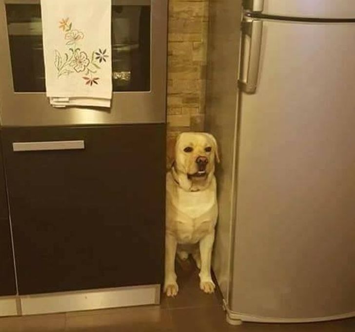 4a0edd52f591146f53b42790ab