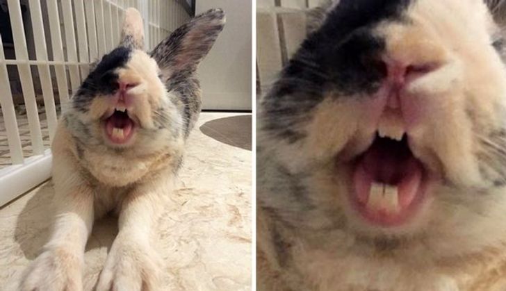 4a1414582e9bdef801f69db879