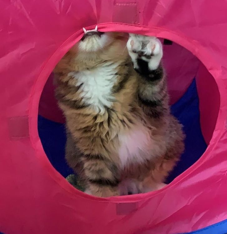 4a150658e09bd176d35800050c