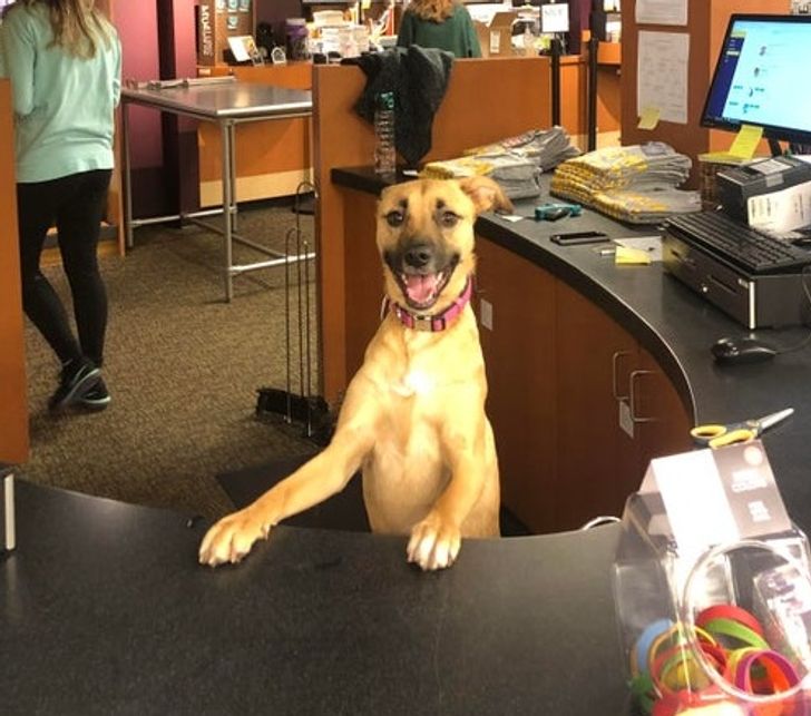 4a17835c92b32a4fbf81a519d2