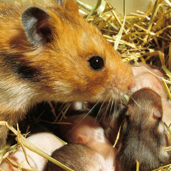 4a254b5c29ac3da165975300ae