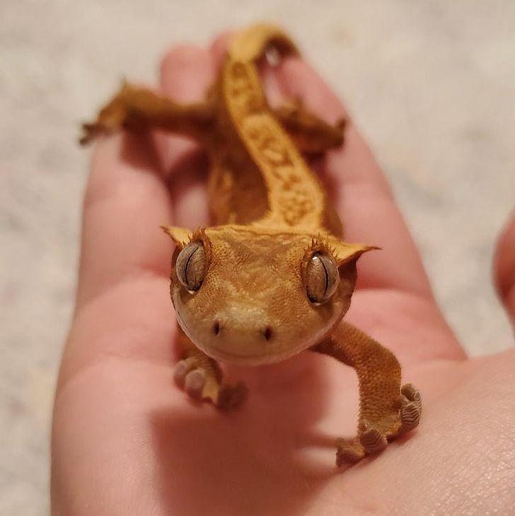 4a2a28584581dcc804acc2d30e