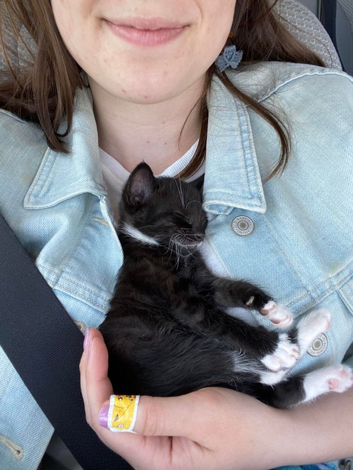 4a2faf59d89af40774ddfe9294