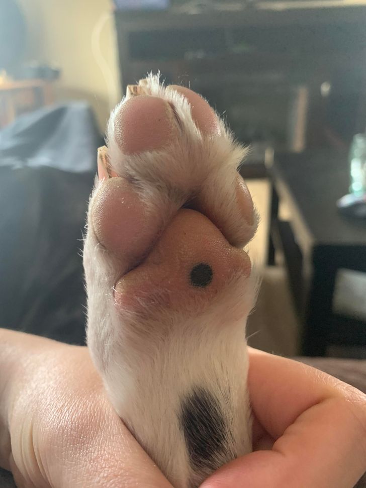 4a350b50f7a1e98d9e743b71dd