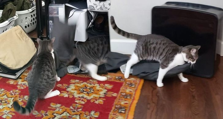 4a381650408b4d5a83dc2d47de 4a381650408b4d5a83dc2d47de