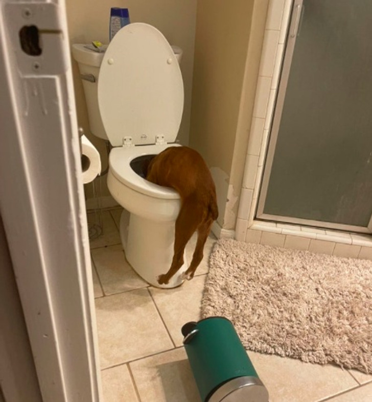 4a38d7582fa38304759253cc68 4a38d7582fa38304759253cc68