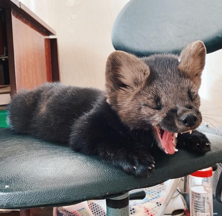 4a43515742af258cca19df0eb7