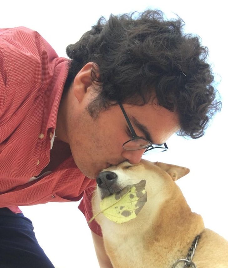 4a4582543fb3f016790beecd03