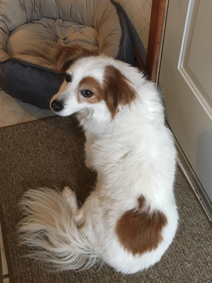 4a47005945af97a92fbf9952e4