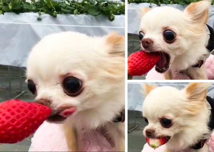 4a531b57a7bcd6fb03ffcd3331