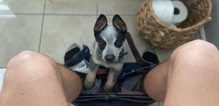 4a5b8c59aabed5939605b40912